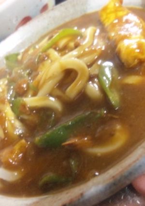 ３日目はカレーうどん♪でしょ☆-レシピのメイン写真