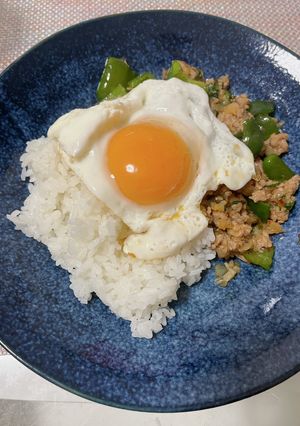 【えむみ式】究極ガパオライス-レシピのメイン写真