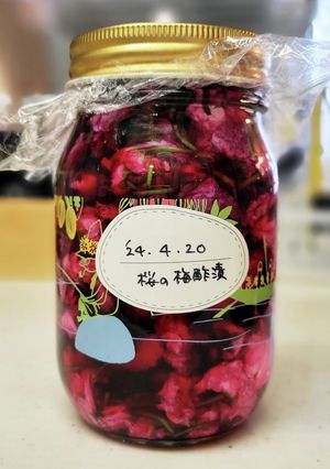 さくらの梅酢漬け-レシピのメイン写真