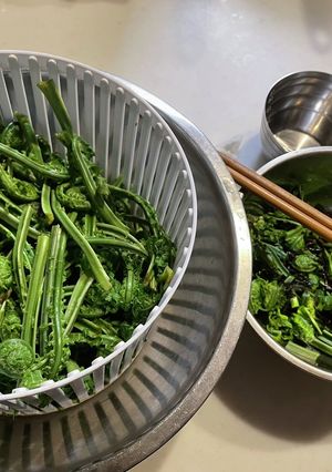こごみ大量消費麺つゆと塩昆布で和えるだけ-レシピのメイン写真