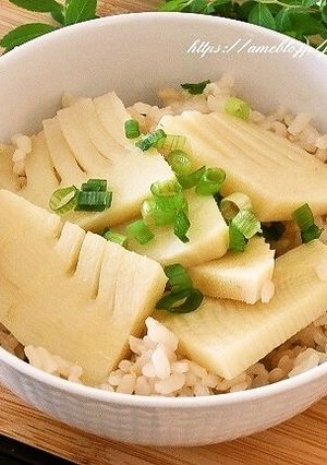 筍たっぷり☆炊き込みご飯-レシピのメイン写真