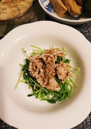 豚肉と豆苗シャキ和え-レシピのメイン写真