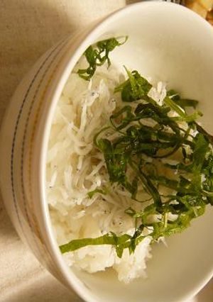 今が旬!!母直伝の簡単しらす丼-レシピのメイン写真