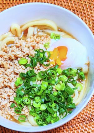 鶏そぼろ月見うどん-レシピのメイン写真