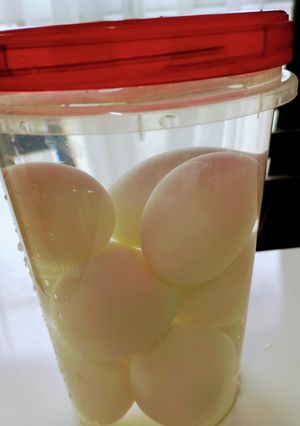 ゆで卵の保存-レシピのメイン写真