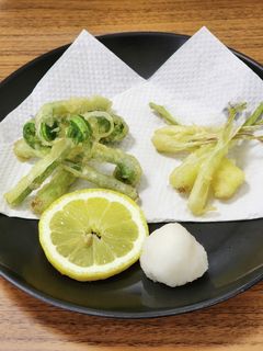 オオタニワタリの天麩羅-レシピのメイン写真