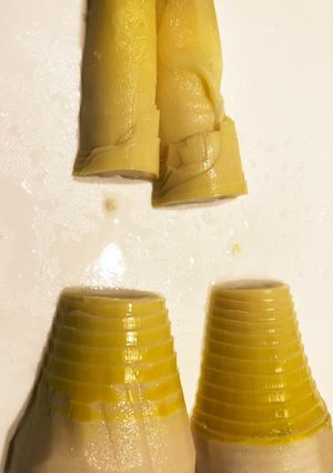 筍の水煮（若竹汁や筍ごはんに使う用）-レシピのメイン写真