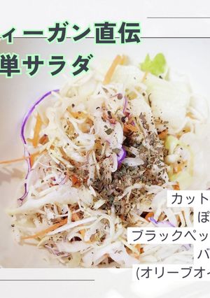 ヴィーガン直伝!サラダの味付け★⑥選-レシピのメイン写真