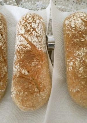 【試作】薄力粉と全粒粉のパン-レシピのメイン写真