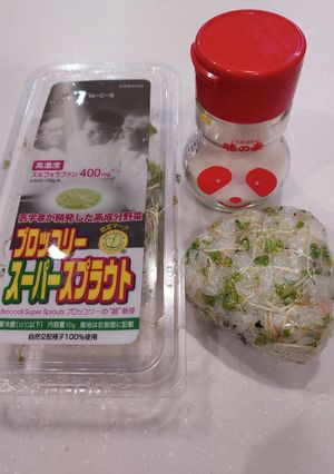おにぎりって完全栄養食-レシピのメイン写真