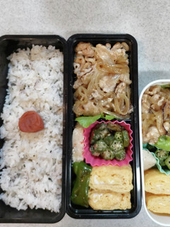 息子のお弁当 13-レシピのメイン写真