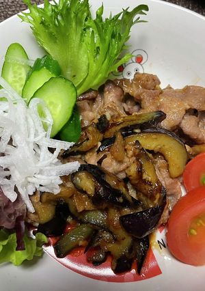 ナスと豚肉の炒め物-レシピのメイン写真