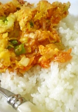 すぐ出来る♪簡単卵どん☆-レシピのメイン写真