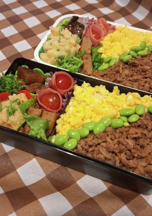 高１男子とパパの弁当240423-レシピのメイン写真
