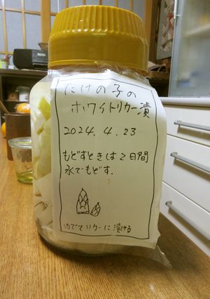 タケノコの保存法　ホワイトリカーで-レシピのメイン写真