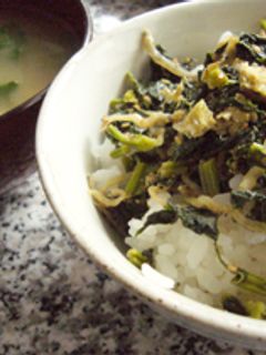 大根の葉っぱとジャコの塩味ふりかけ-レシピのメイン写真