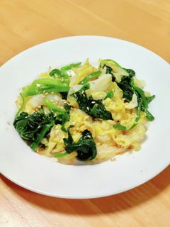 #春キャベツたっぷりほうれん草入りナムル-レシピのメイン写真