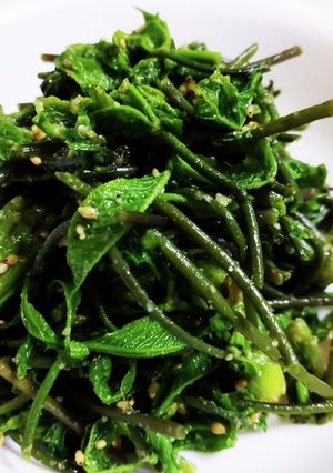 しのんち☆さっと!!こしあぶらの胡麻和え-レシピのメイン写真