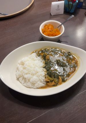 鶏もも肉とほうれん草の家カレー-レシピのメイン写真