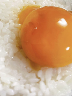 卵黄の醤油漬け-レシピのメイン写真