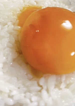 卵黄の醤油漬け-レシピのメイン写真
