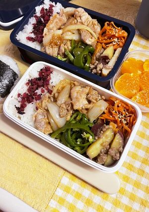 20240425娘ちゃん息子っちのお弁当-レシピのメイン写真