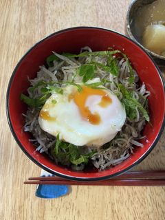 ジャコ丼-レシピのメイン写真