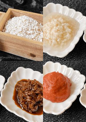 60℃「乾燥米麹と生米麹」仕上り比較実験-レシピのメイン写真