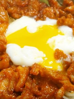 温玉!ヤンニョム!!旨辛豚丼★動画あり★-レシピのメイン写真