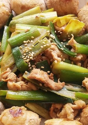 減塩☆白ネギの豚肉巻き+生姜焼き-レシピのメイン写真