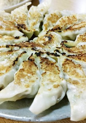 餃子、豚挽き肉と長ねぎだけ。-レシピのメイン写真