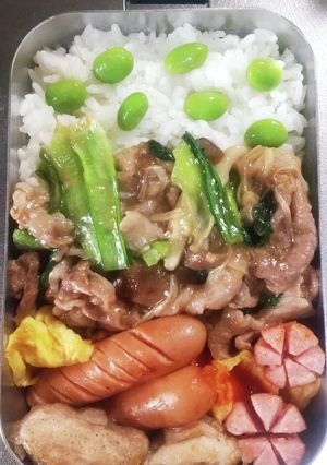 高校生息子弁当１-レシピのメイン写真