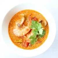 基本からアレンジまで！思わずつくりたくなる「タイ料理
