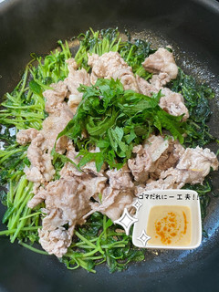 ゴマだれで食べる豆苗と豚こま蒸し-レシピのメイン写真