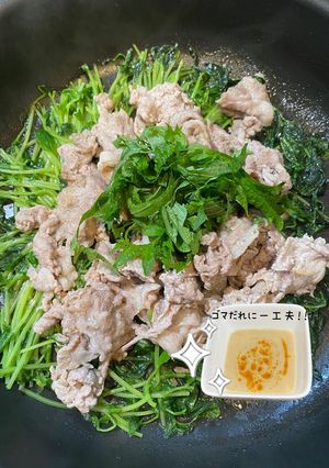 ゴマだれで食べる豆苗と豚こま蒸し-レシピのメイン写真