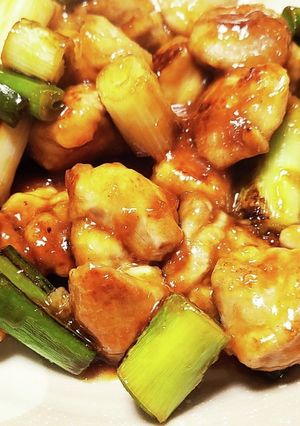 鶏肉と長ネギの生姜炒め-レシピのメイン写真