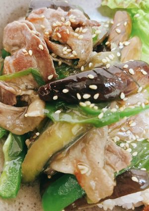 豚肉、茄子、ピーマンの鶏塩炒め-レシピのメイン写真