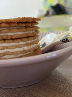 ヨーグルトでチーズケーキ風-レシピのメイン写真