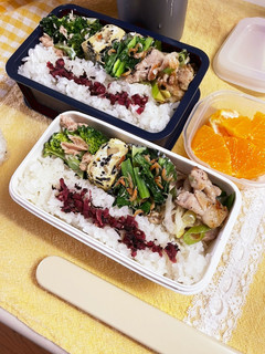 20240501娘ちゃん息子っちのお弁当-レシピのメイン写真