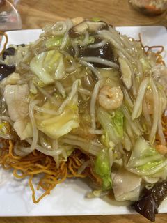 パパ皿うどん(未完成調整中)-レシピのメイン写真