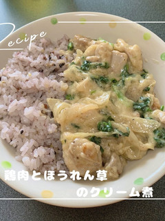鶏肉とほうれん草のクリーム煮-レシピのメイン写真