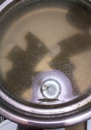 パイタン白湯、茹で鶏スープ-レシピのメイン写真