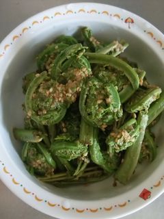山菜の季節ですね、こごみの胡麻和え-レシピのメイン写真