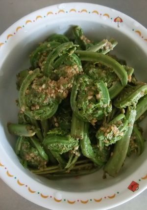 山菜の季節ですね、こごみの胡麻和え-レシピのメイン写真