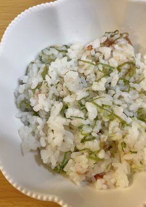 ダイエット中にも！梅干しとネギのご飯-レシピのメイン写真