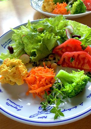 彩り野菜のわくわくサラダプレート-レシピのメイン写真