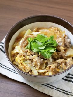 簡単!牛肉とタマネギの甘辛たまごとじ丼-レシピのメイン写真