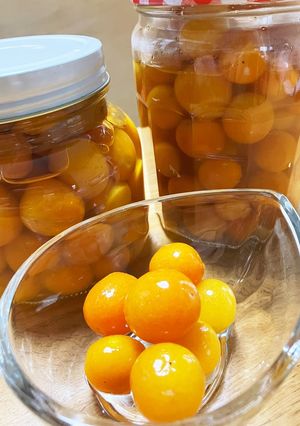 金柑のコンポート-レシピのメイン写真