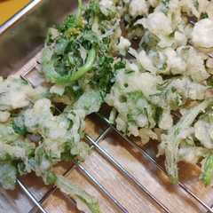 รูปของ 花クレソンの天ぷら