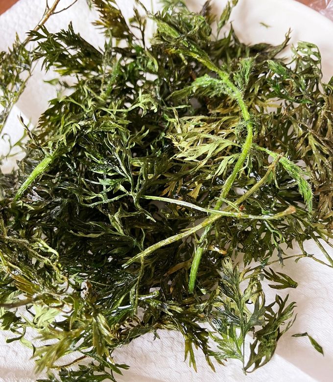 間引き人参の葉っぱチップス by mi〜pon 【クックパッド】 簡単